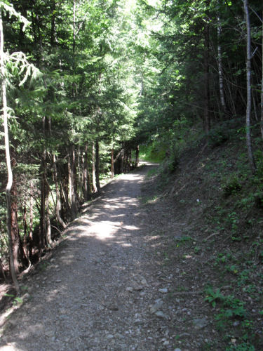 Waldweg Anzonico