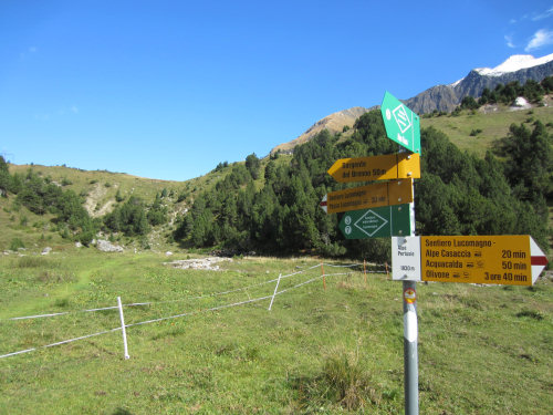 Alpe Pertusio Lucomagno