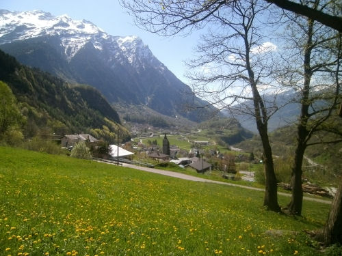 Aquila
