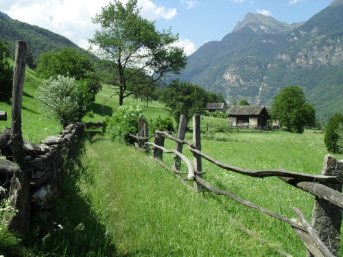 Loderio Semione