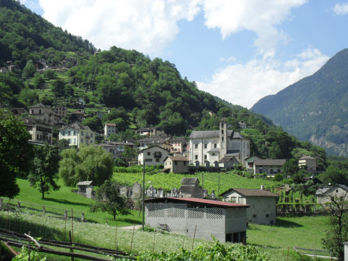 Semione
