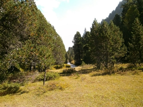 Ai Pini valle Blenio