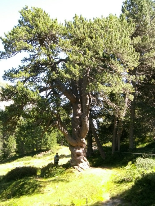 Campo Solario valle Blenio