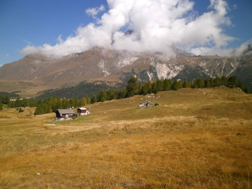 Stabbio Nuovo