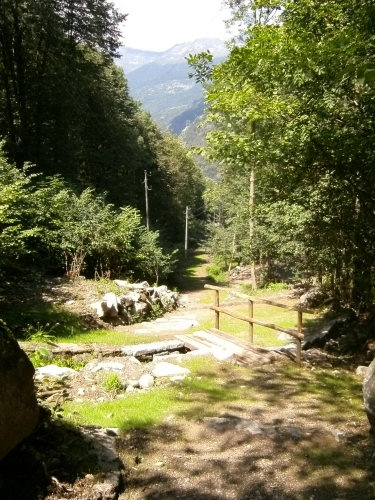 Lavorgo