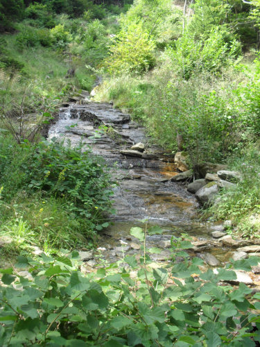 Navone Bergbach