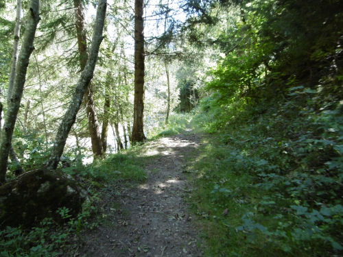 Waldweg von Dalpe nach Faido