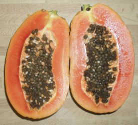 Papaya-Lechoza